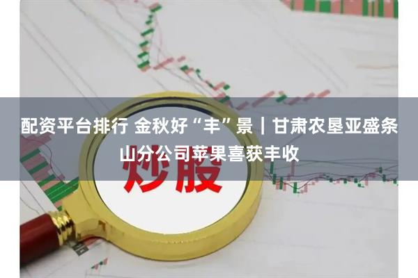 配资平台排行 金秋好“丰”景｜甘肃农垦亚盛条山分公司苹果喜获丰收
